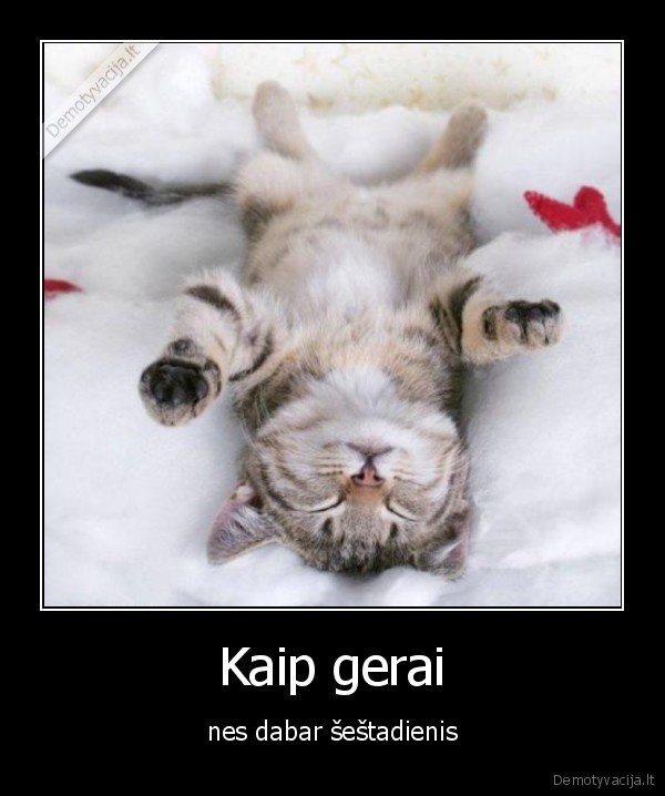 kates