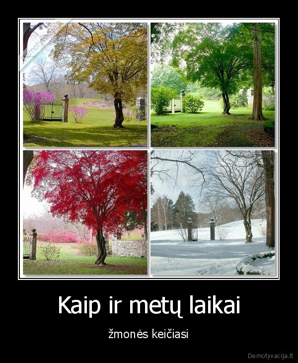 Kaip ir metų laikai