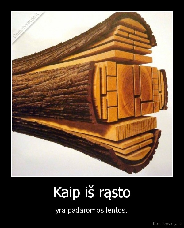 rastas,lentos,mediena