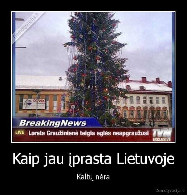 panevezio, eglute,kaledine, egle,loreta, grauziniene