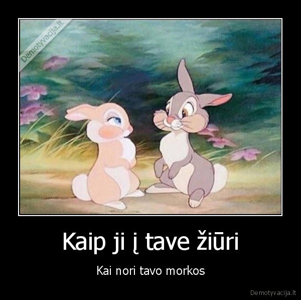 zuikiai,seksas