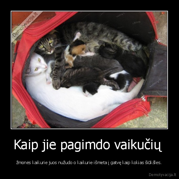 Kaip jie pagimdo vaikučių 