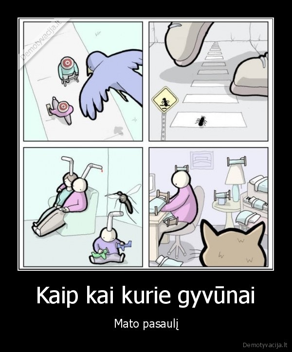 uodai,kates,balandziai,skruzdes