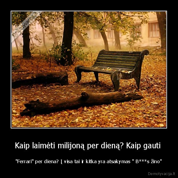 seksi, taim