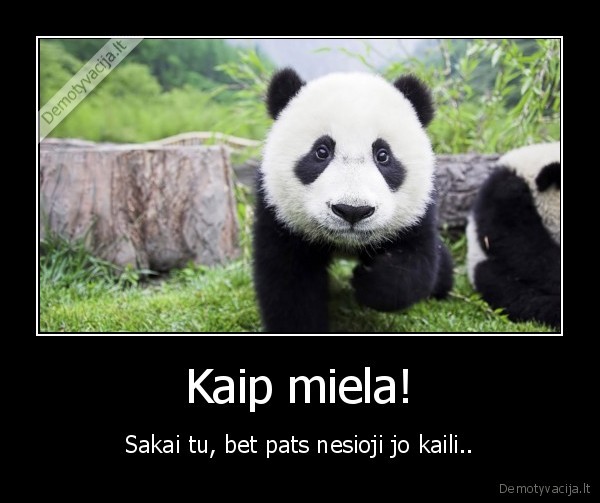 Kaip miela!