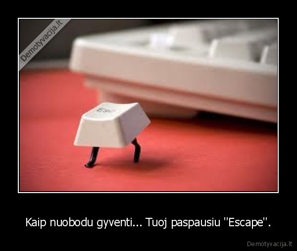 Kaip nuobodu gyventi... Tuoj paspausiu ''Escape''.