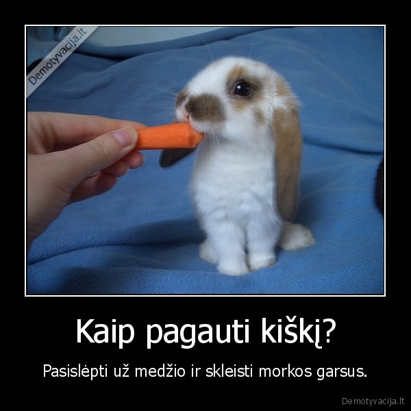kiskis,morka,pagauk