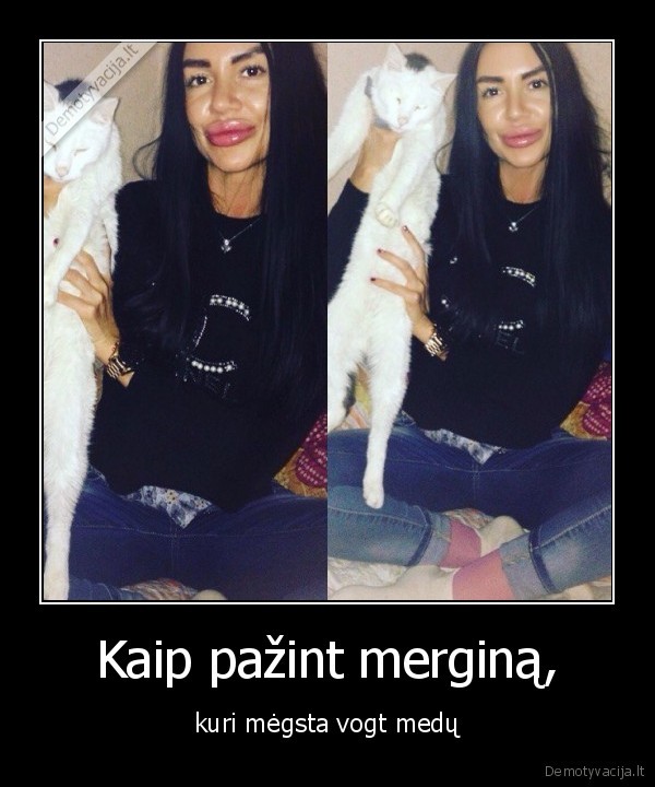 bites,igelti