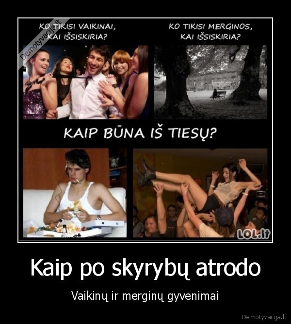 skyrybos,issiskyre,sunkus, gyvenimas