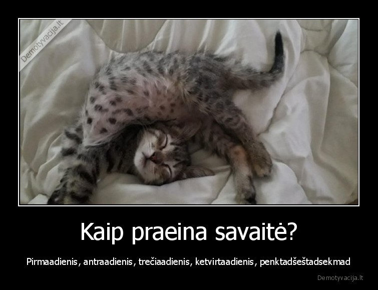 savaite,praejo