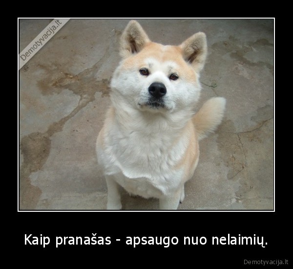 haciko