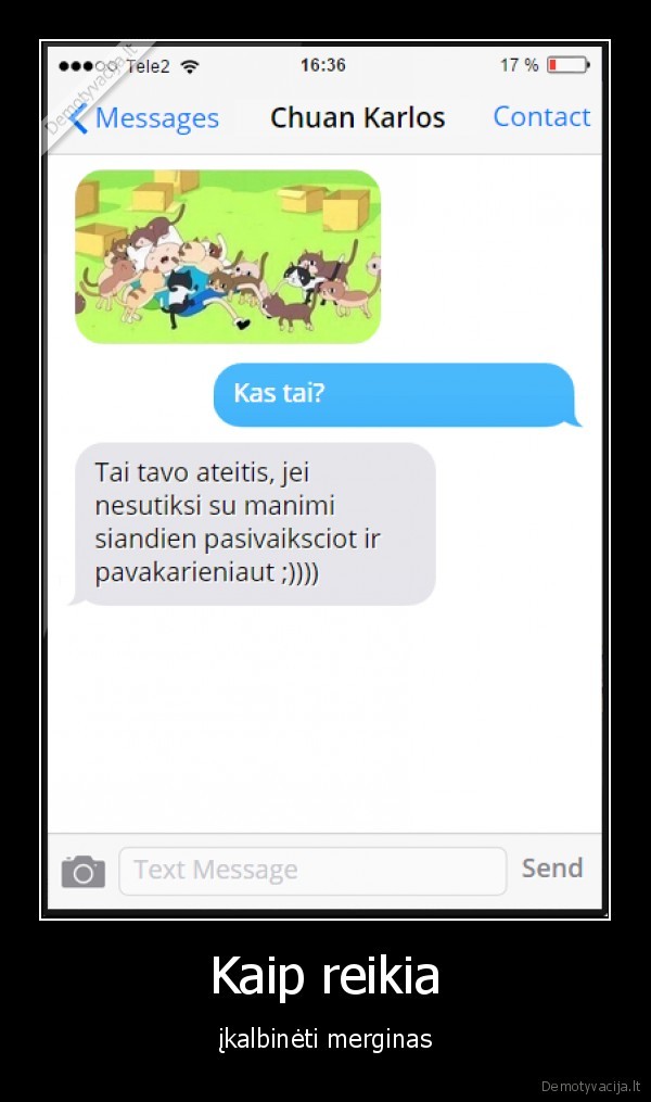 ateitis,ikalbeti,katinai,vienisa