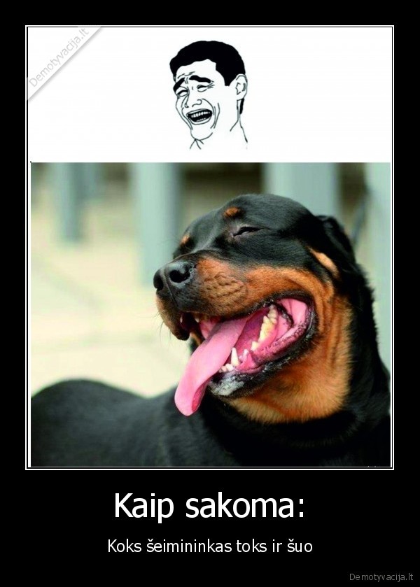 gyvunai,trollface,troll
