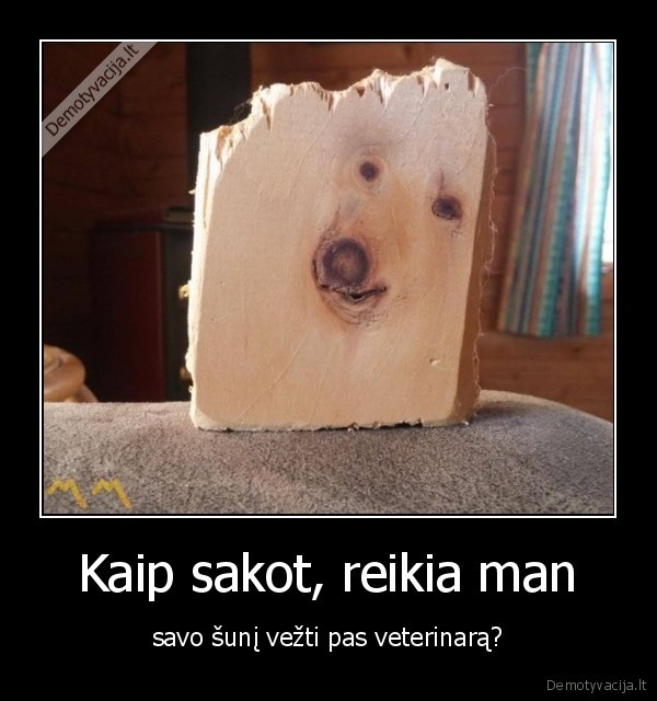 suo,veterinaras