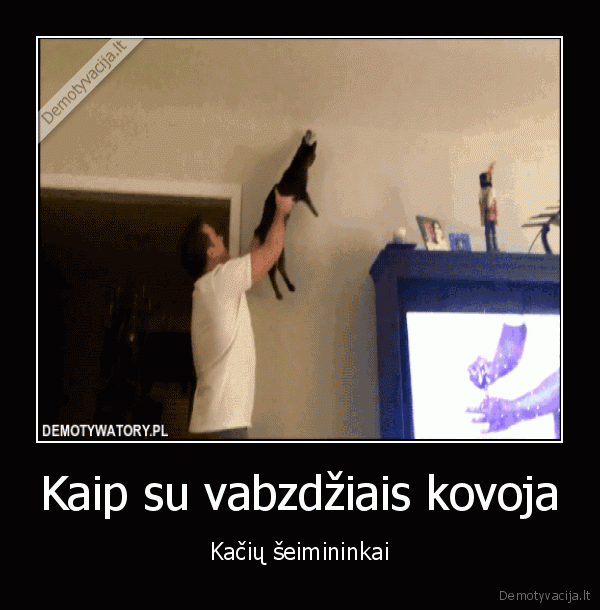 muses, gaudymas,juokingas, gif