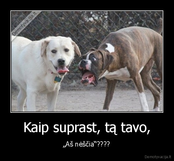 Kaip suprast, tą tavo,