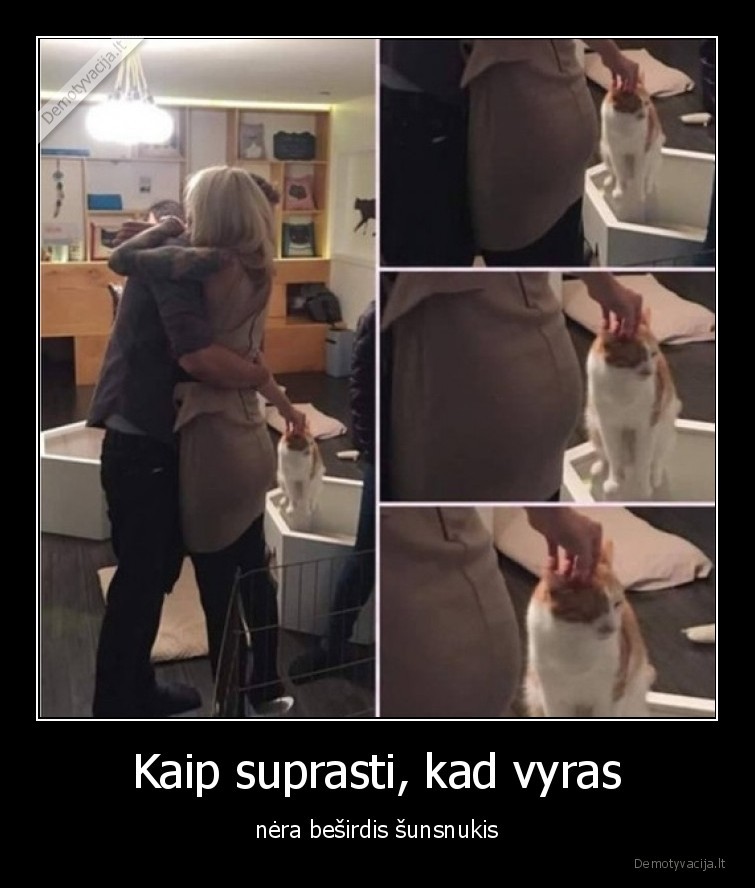 vyras,meile,gyvunai,kate