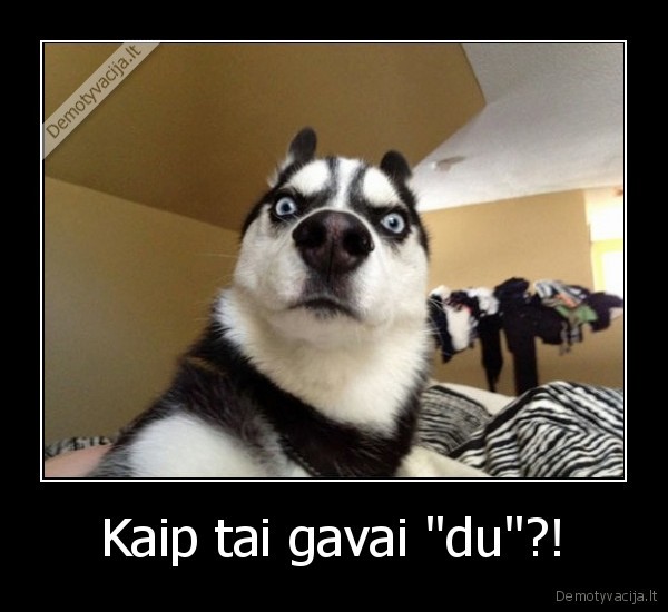 Kaip tai gavai &quot;du&quot;?!
