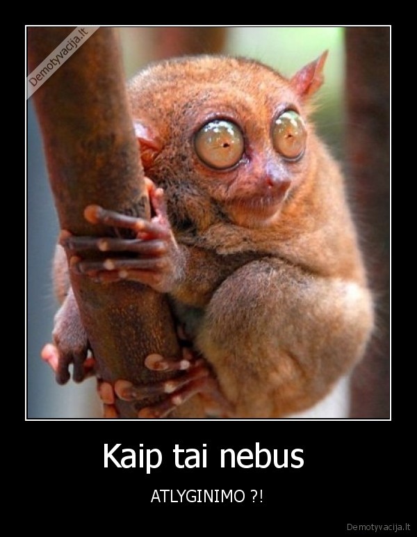 darbas,krize,nebus,atlyginimas