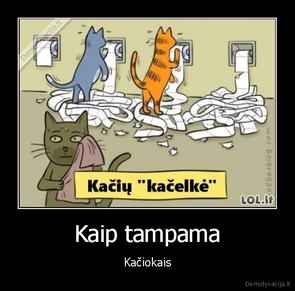 kacelke,kates