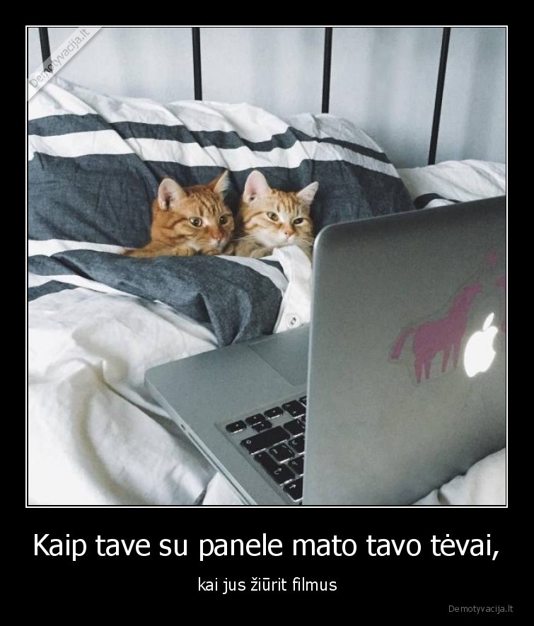 katineliai,filmas,ziuri,pora