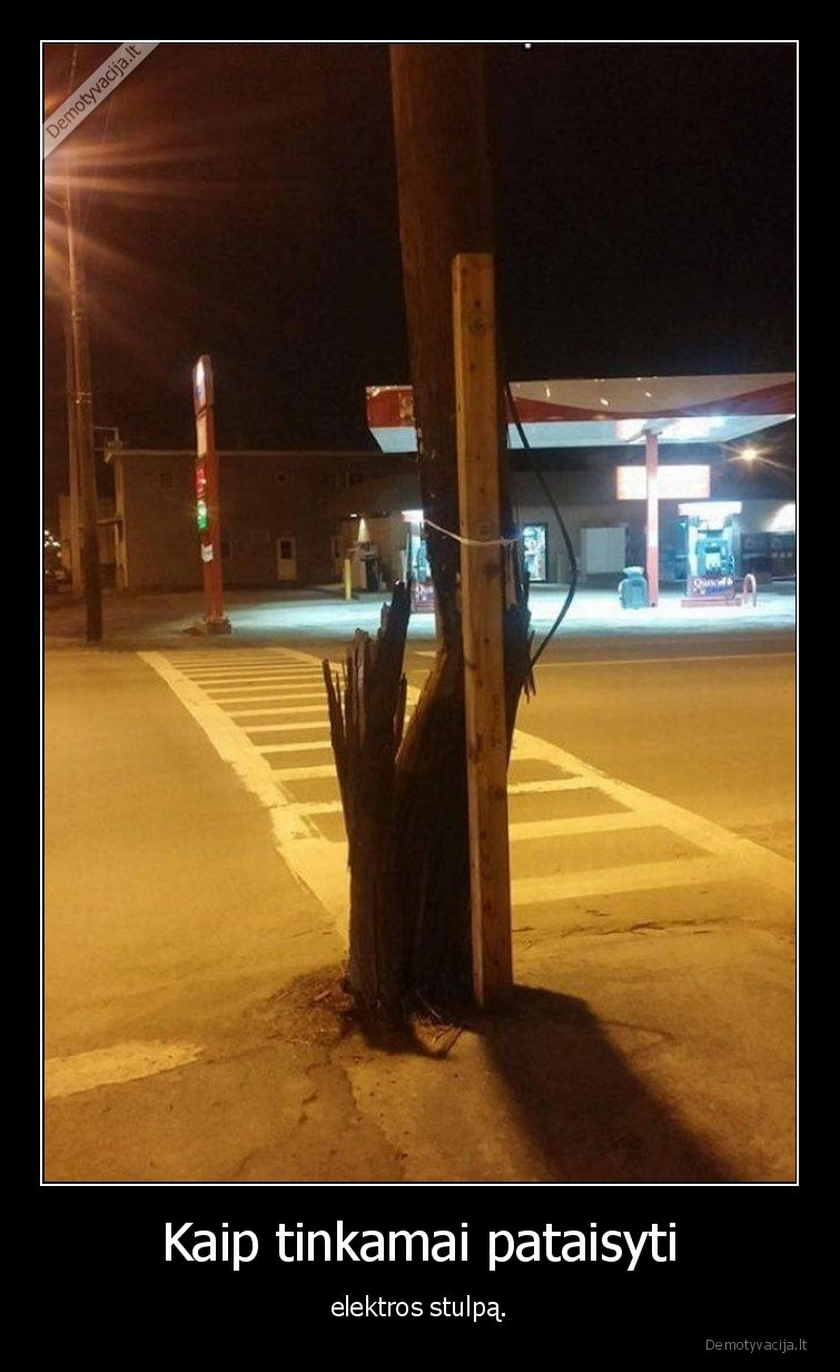 elektra,stulpas,wtf