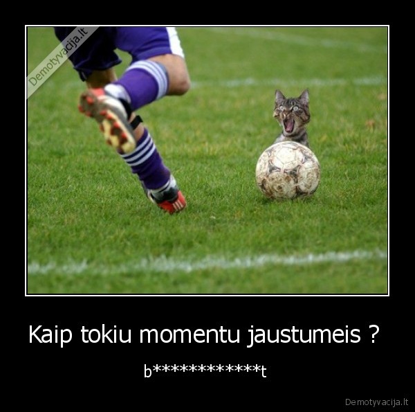 Kaip tokiu momentu jaustumeis ? 