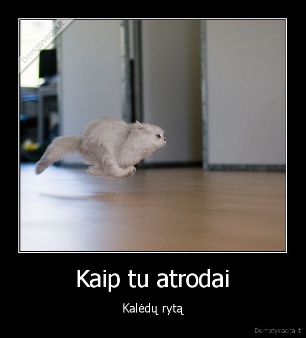 Kaip tu atrodai