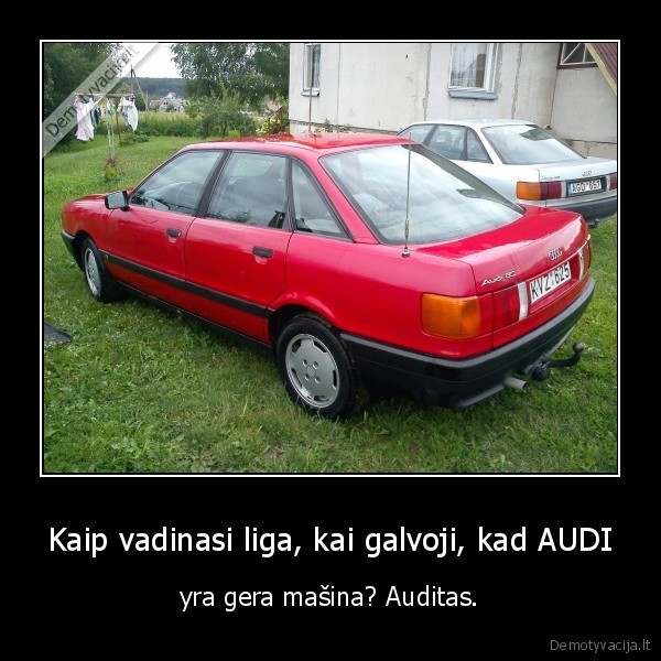 audi,auditas,liga,bulka