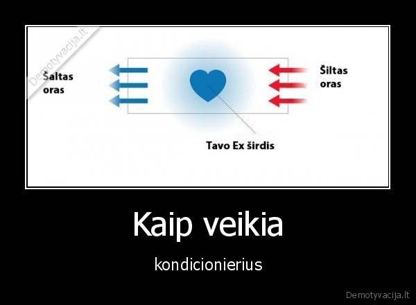 kondicionierius,ex, sirdis,salta