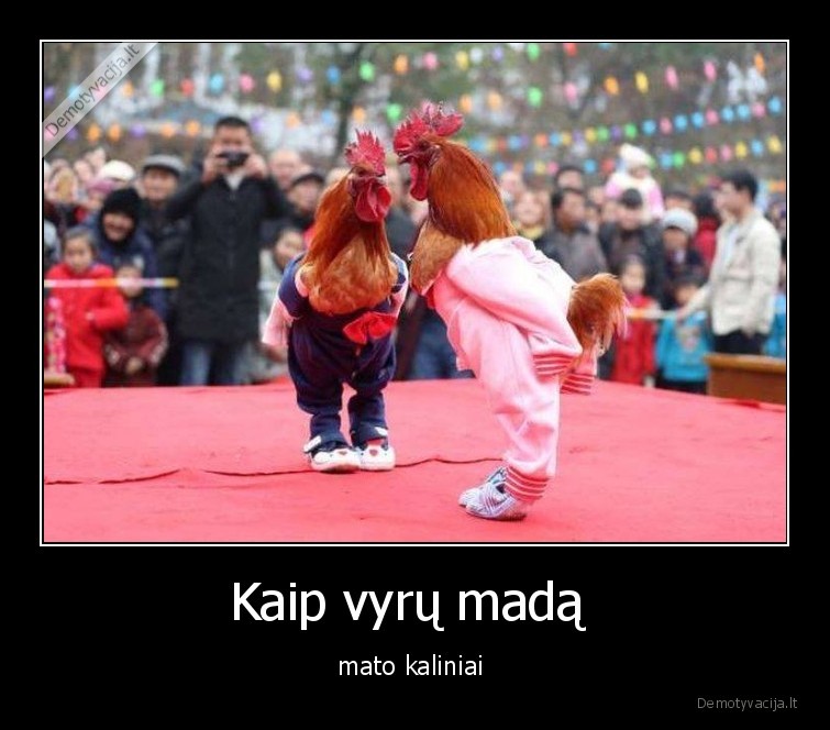 kaliniai,vyru,mada,gaidziai