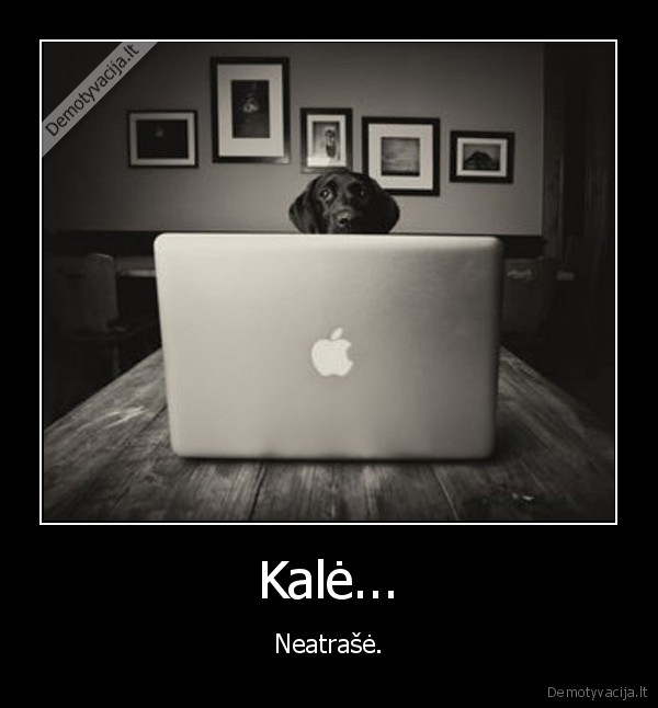 Kalė...