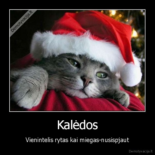 kaledos, valdo
