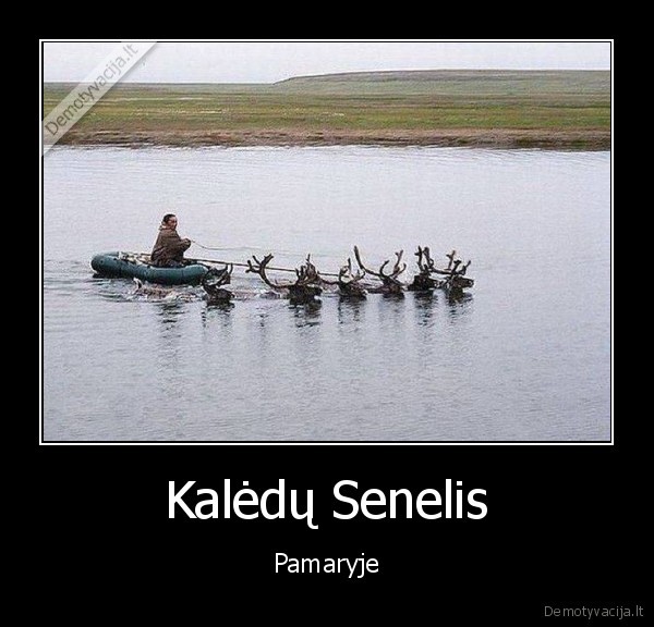 potvynis,apsemtos, pievos,briedziai