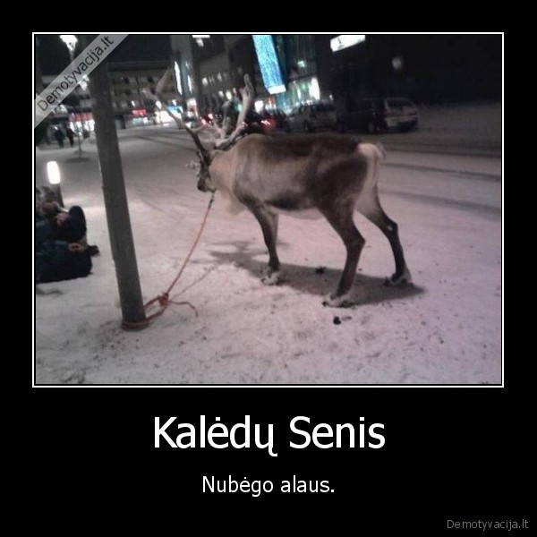 alus,elnias,kaledu, senis