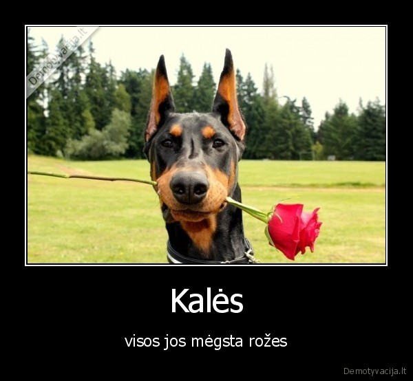 Kalės