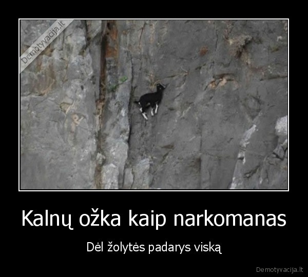 blt, kaip, jai, pavyksta