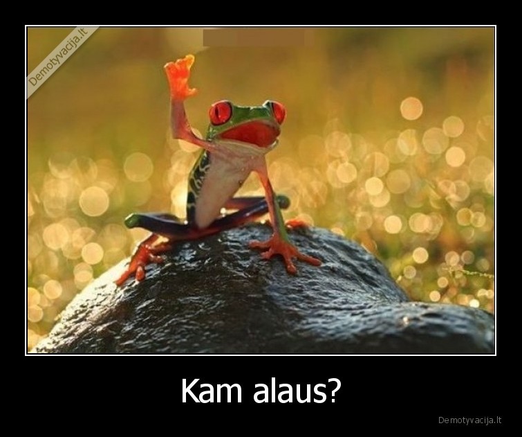 alus,varle,nori