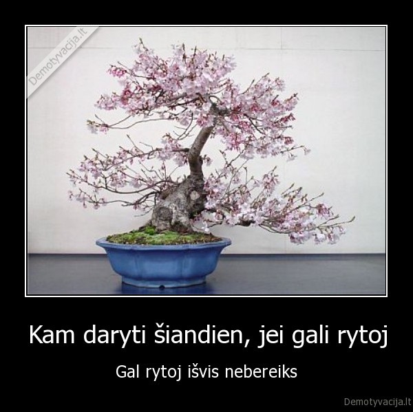 siandien, rytoj, ismintis, byloja