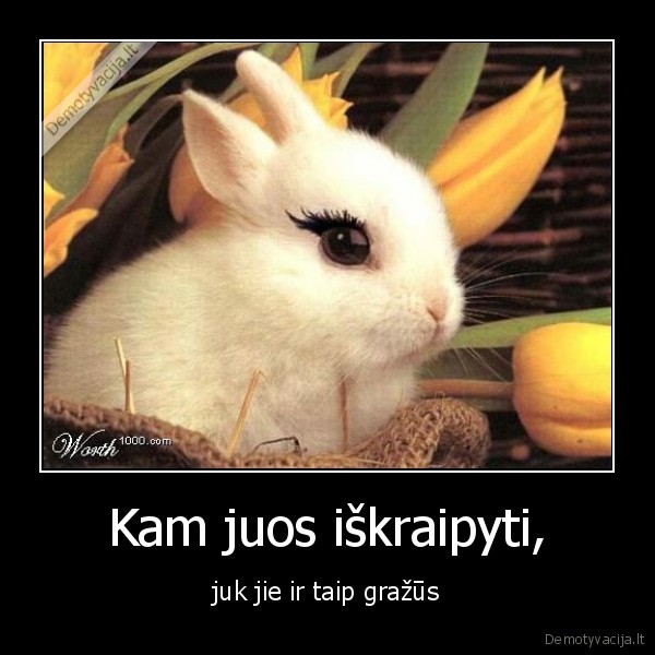 Kam juos iškraipyti,