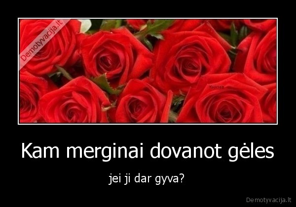 mergina,geles