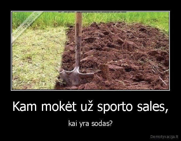 sodas,sportas,sale