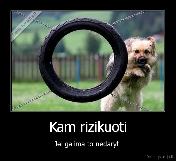 suod