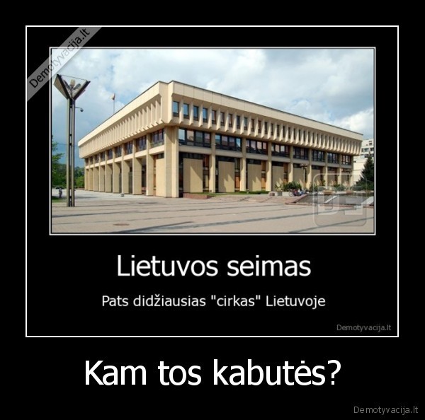 politika