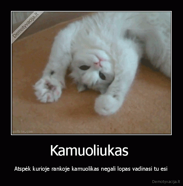 klausimas