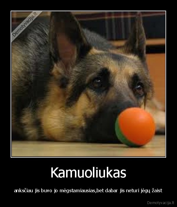 Kamuoliukas