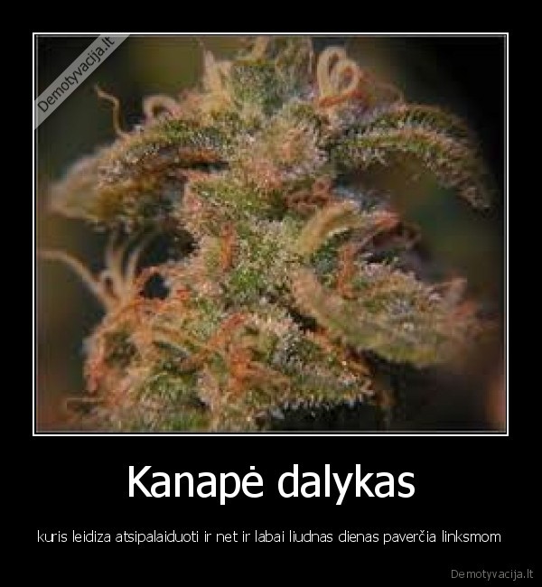 Kanapė dalykas