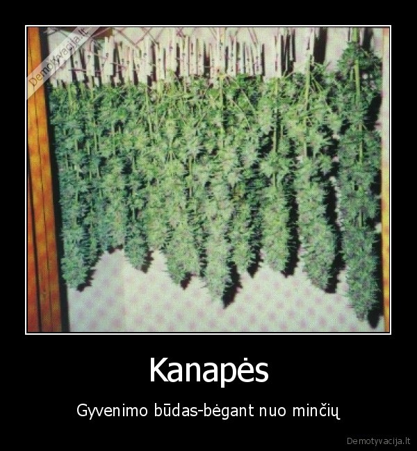 Kanapės