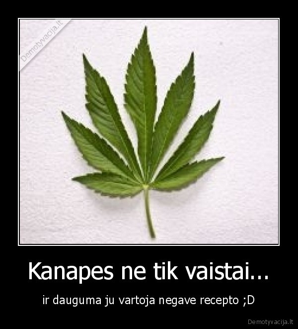 Kanapes ne tik vaistai...