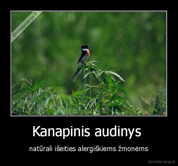 kanapinis, audinys, naturali, iseities, alergiskiems, zmonems